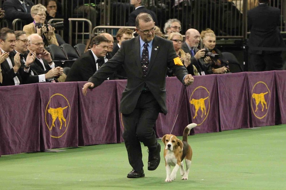 Editorial: March 10, 2023